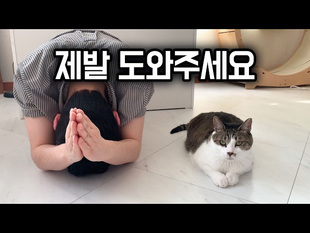 Please, everyone, help me..