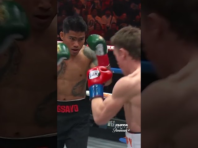 The Crowd is READY for this one! #zuffaboxing05