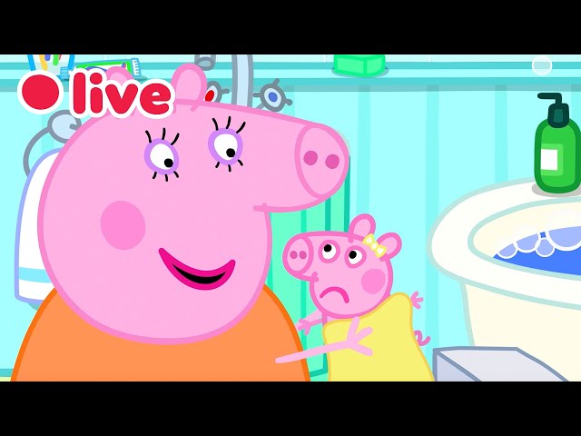 Peppa Pig NEW BABY EVIE Episodes LIVE 🍼 Cutest & Funniest Moments 🥹💛 Kids Cartoons