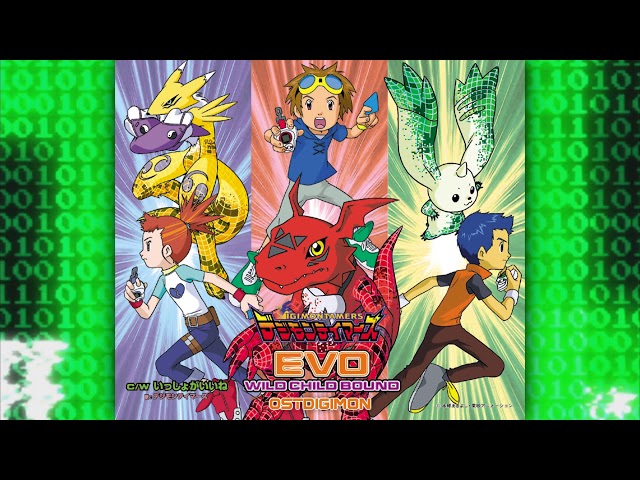 WILD CHILD BOUND - EVO