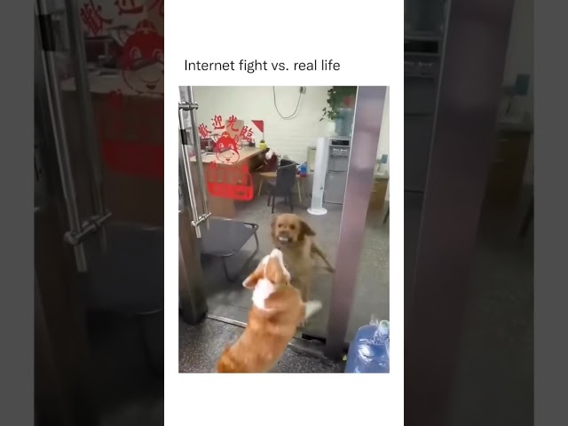 Memes That Will Make You Laugh #0