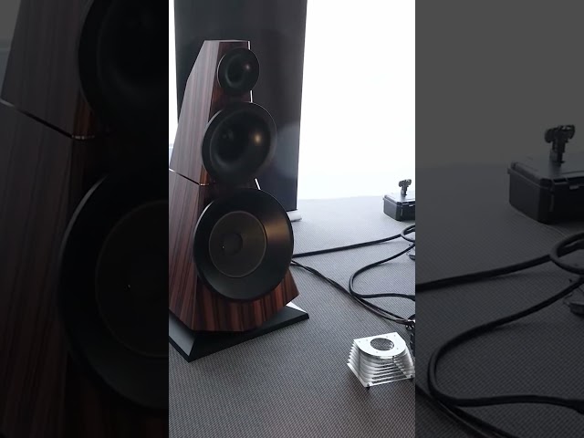 Audiophile music 🎵 #hiend #stereo #dj #subwoofer #sub #sound