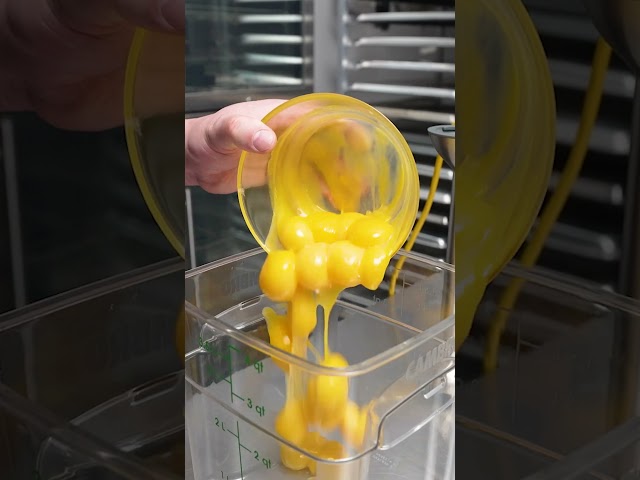 Hamilton Beach Commercial Compact BigRig