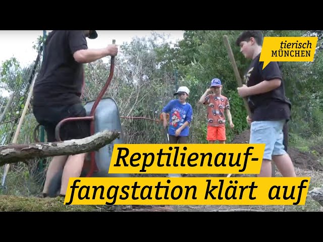 Tierisch München: Reptilienauffangstation klärt über die Tierwelt vor unserer Haustüre auf