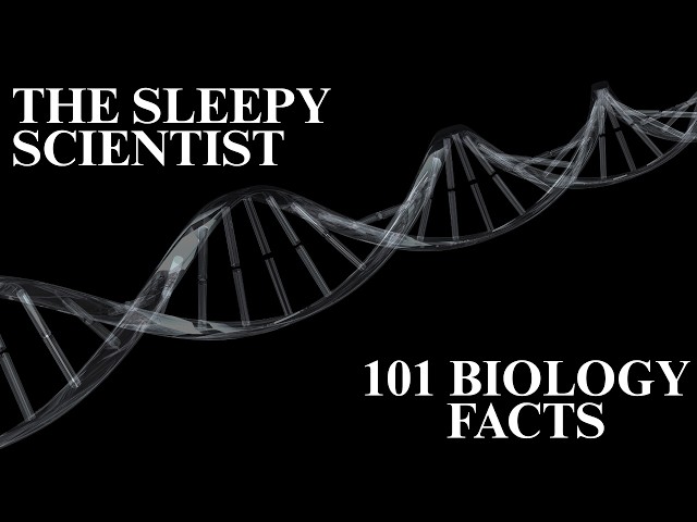 101 Biology Facts, Slowly Explained | Science for Sleep