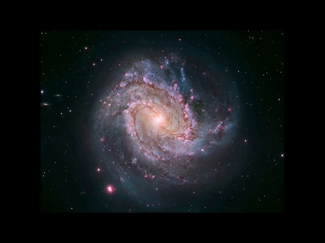 "Stellar" - Native Instruments Massive - Matthias Kopfermann