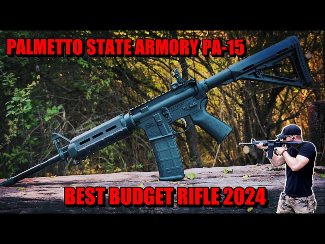 Palmetto State Armory PA-15 | Best Beginner 5.56 Rifle #psa #hunting #budget #review