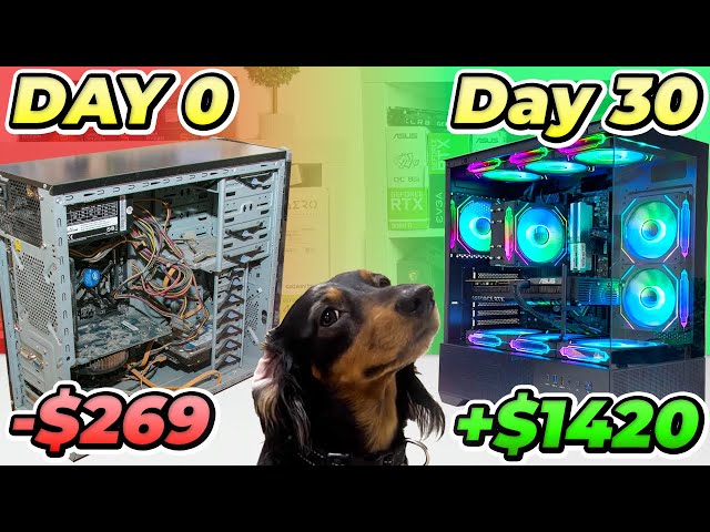 I Flipped Custom PCs To Buy My Dog A Girlfriend