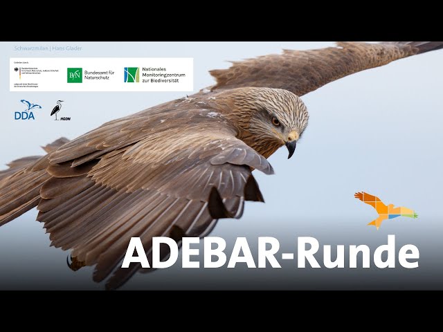 ADEBAR-Runde 29.03.2025