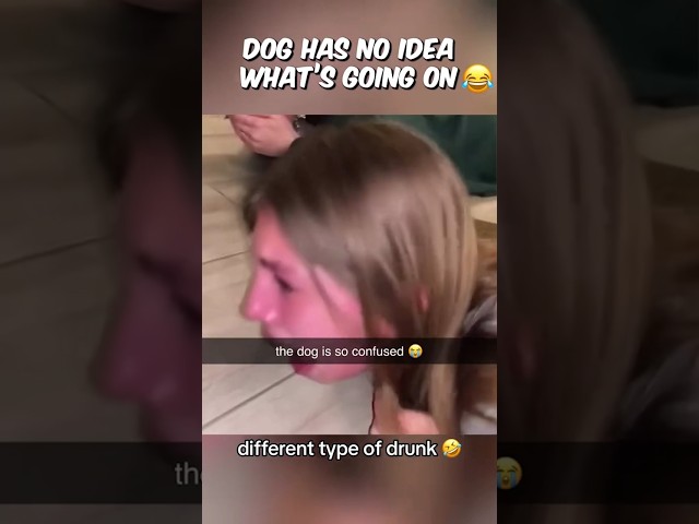 Drunk Girl Tells Dog How Much She Loves Him 😭