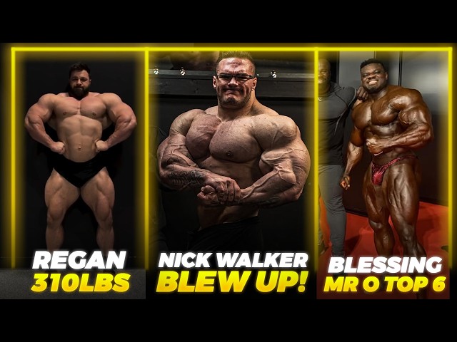 Nick Walker's NEXT SHOW + Regan Grimes FINALLY GROWING + Blessing Awodibu Top 6 at the Olympia?