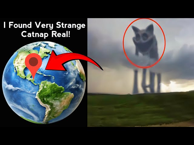 😶‍🌫️😱 I Found Very Strange Catnap Real in google maps and google earth #map #earth #hrbro76