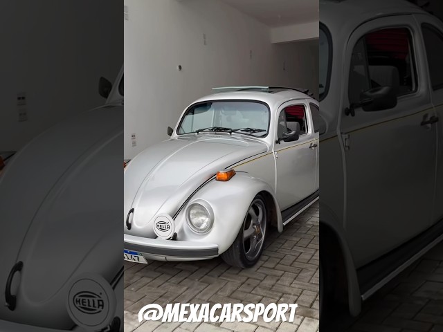 Vw Vocho #vocho #vochomx #fuscabrasil #beetle #vwsedan #volkswagen #Vwlifestyle #vwoval #porsche