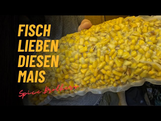 Cook the perfect fishing corn and preserve it for a long time! 🌽