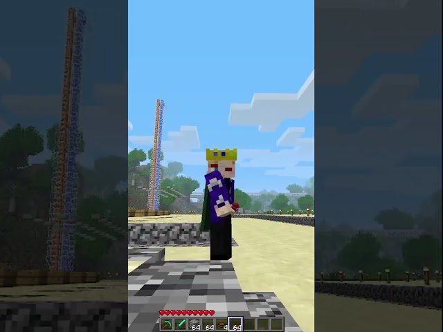 the best food in beta minecraft