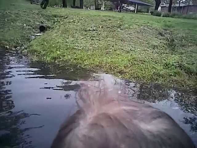 Body camera video shows cop pull toddler from pond