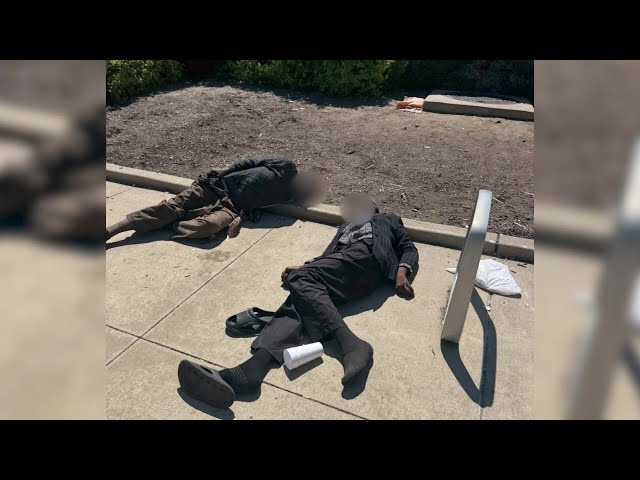 City park closed for cleanup