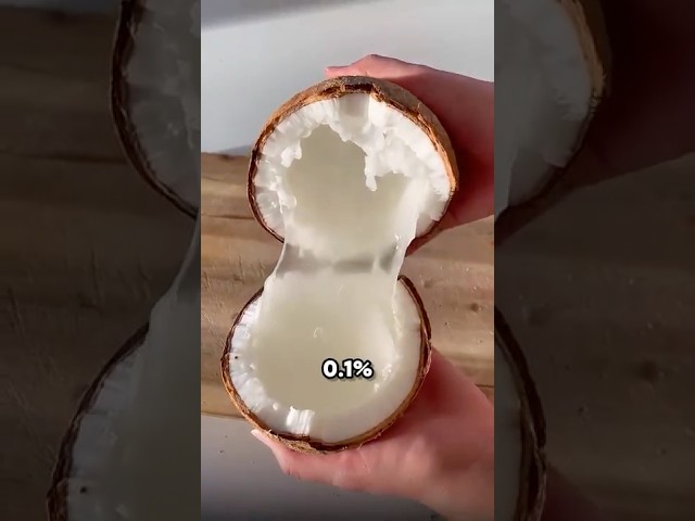 Rarest coconut?