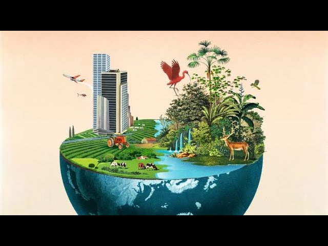 BIODIVERSITY & CLASSIFICATION GRADE 10