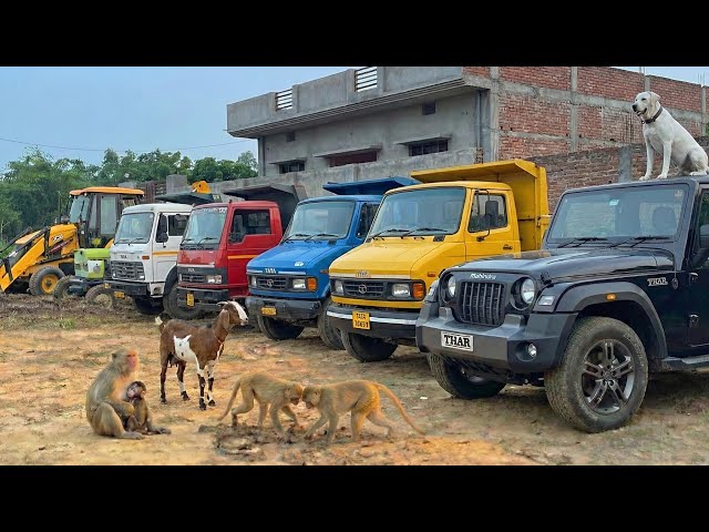 JCB 3dx Backhoe Machine Loading Mud in One TATA Track And Four Ashok Leyland Dump Track 