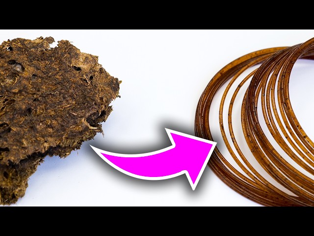 Cow Poop Filament is NOT as BAD as you Think!