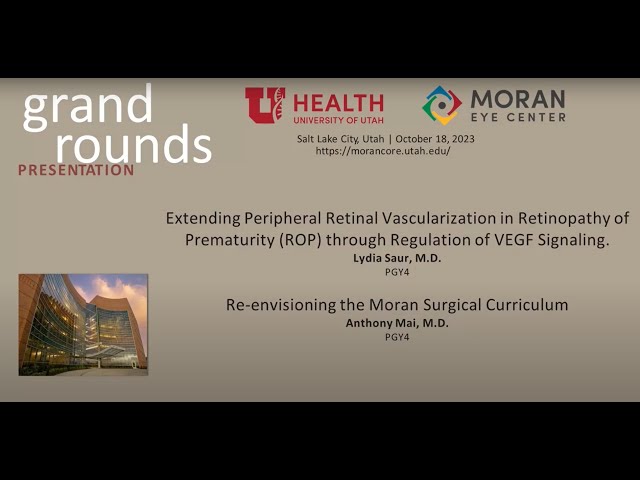 Extending Peripheral Retinal Vascularization in ROP; Re-envisioning the Moran Surgical Curriculum