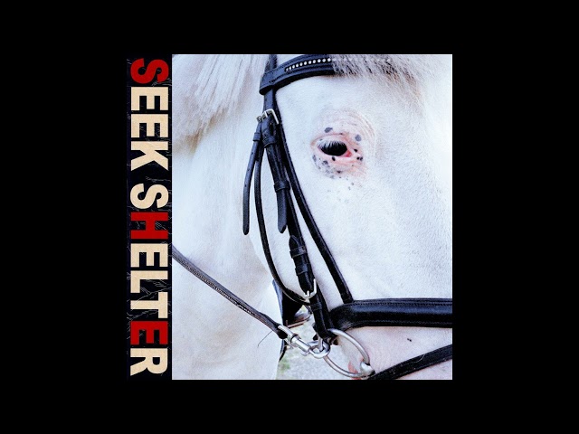 Iceage - Love Kills Slowly (Official Audio)