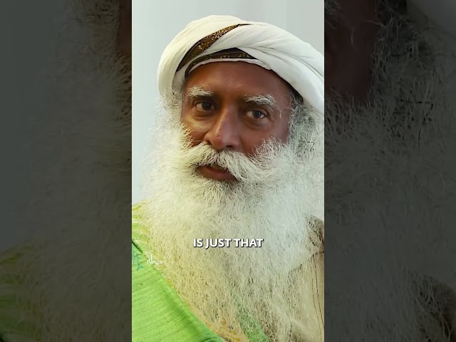 Transform Yourself Every Day