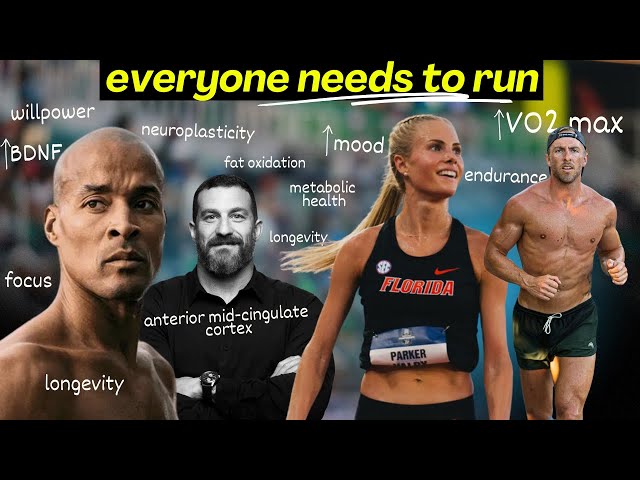 How Running Rewires Your Brain and Transforms Your Body