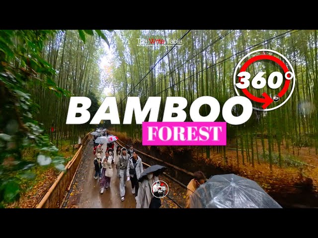 Lost in the Bamboo: Arashiyama Bamboo Grove 360° VR Experience