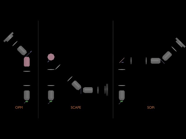 Scanning architecture : OPM vs SCAPE vs SOPi