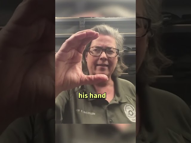 CSI Explains How Nancy Guthrie Was Abducted