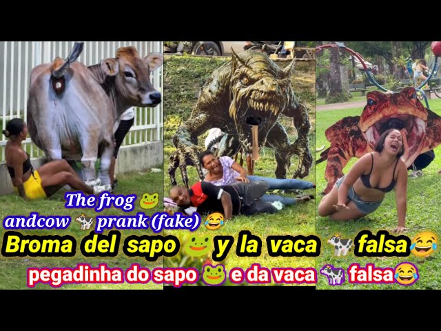 Broma del sapo 🐸 y la vaca 🐄 falsa😂 /  pegadinha do sapo 🐸 e da vaca 🐄 falsa😂 / The andcow 🐄 prank