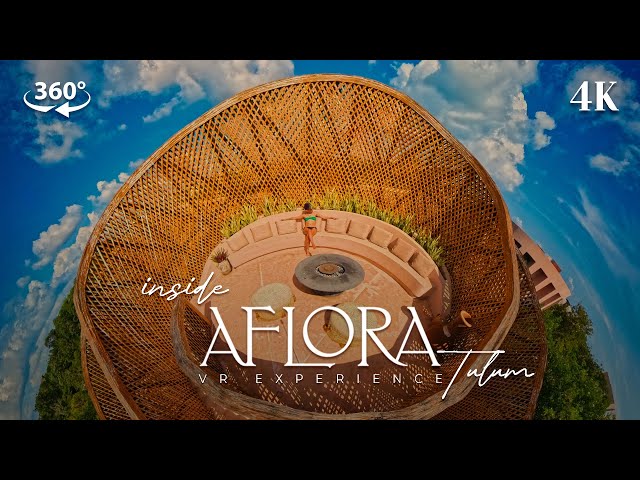 Inside Aflora Tulum: Immersive Virtual Tour Experience in 4K