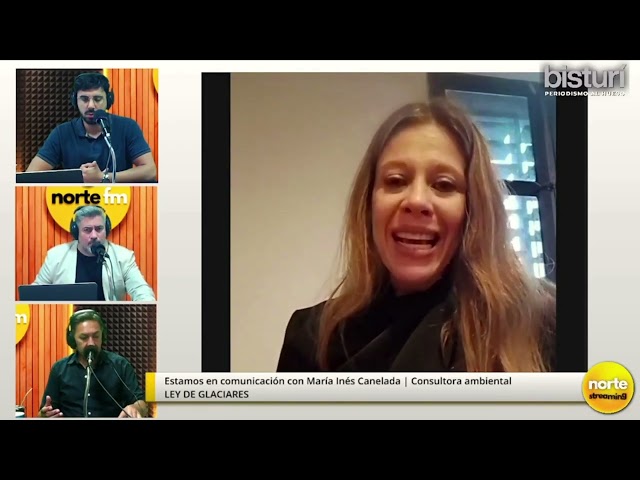 LEY DE GLACIARES | María Inés Canelada - Consultora ambiental