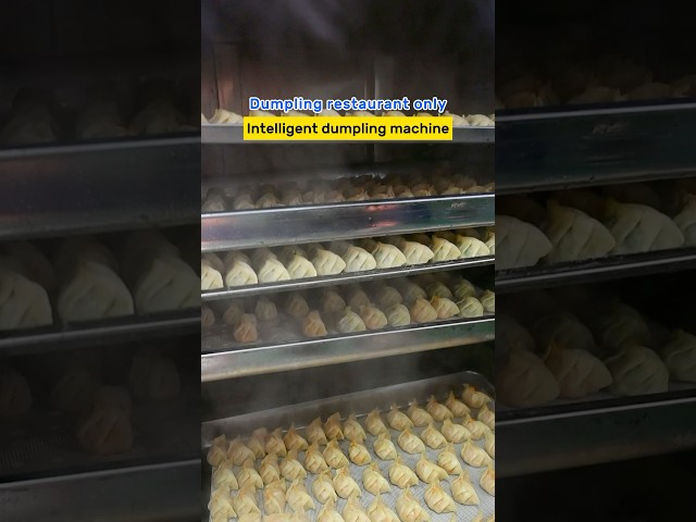 Intelligent dumpling machine, automatic dumpling machine # dumpling machine # automatic dumpling