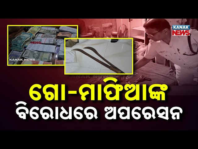 Massive Crackdown on Cattle Mafia:  Cash, Gold & Weapons Seized in Triple District Raid