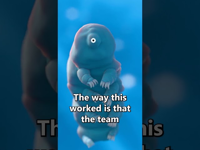 Tattooing Tardigrades with Teeny Tiny... electrons.