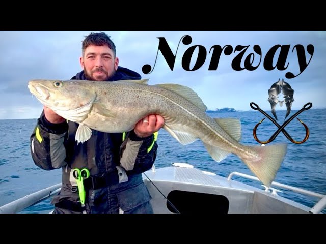 The PROMISED land / INSANE deep sea cod fishing 