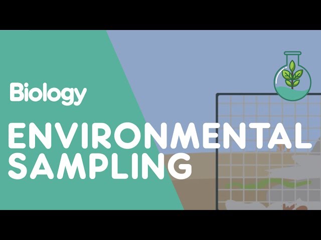 What Is Environmental Sampling? | Ecology & Environment | Biology | FuseSchool