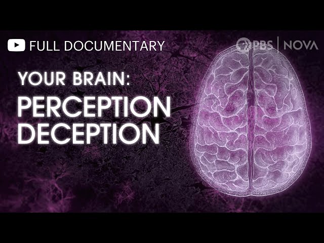 Your Brain: Perception Deception | Full Documentary | NOVA | PBS