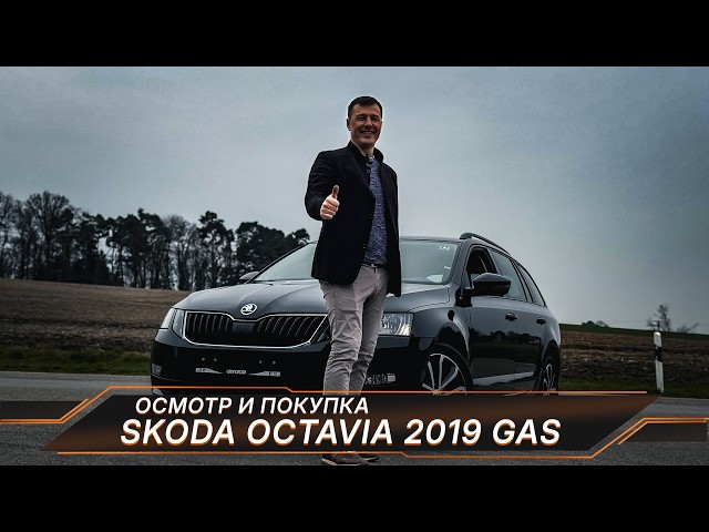 Skoda Octavia G-Tec on gas at the bottom of the market and technical PROBLEMS during inspection!