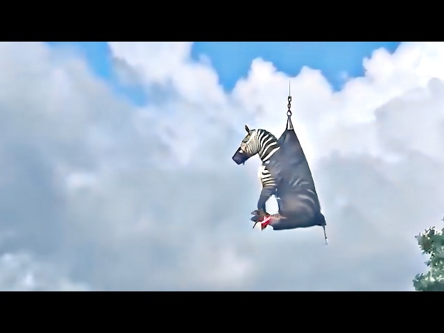 UNUSUAL MEMES COMPILATION V324