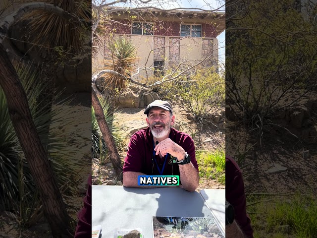 Why plant anything other than a lawn? Short