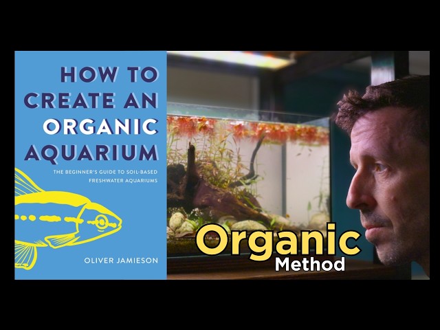 I tried the Organic Aquarium Method - A Different Way to Build an Aquascape (No CO2, no filter)