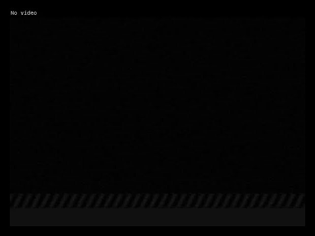 Falcon Cam - Hibbard 2