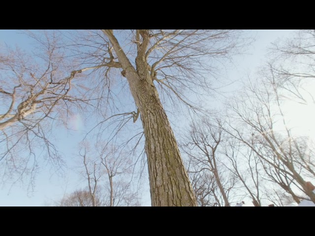 Test  CC Pre h265 injected