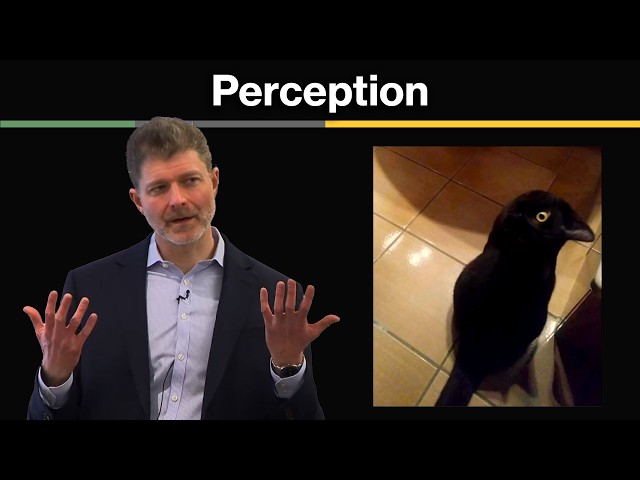 1: Introduction to Perception