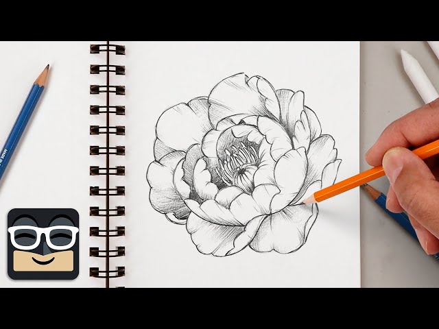 How to Draw a Realistic Peony | Step by Step Sketch Lesson
