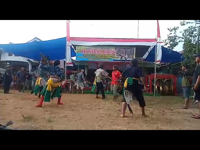 Jaran Pegon Versi Hut Ri Ke77 Seni Tri Warno Budoyo